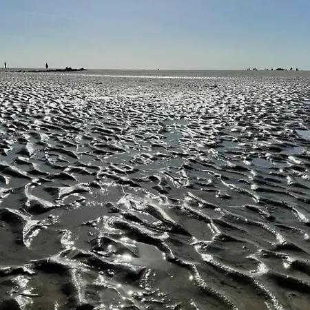 Tatil Evi 213 In Sunparks Oostduinkerke With Free Parking And Garden