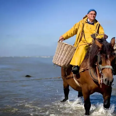 Dom wakacyjny 213 In Sunparks Oostduinkerke With Free Parking And Garden